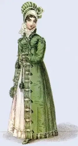 1817 walking dress La Belle Assemblee