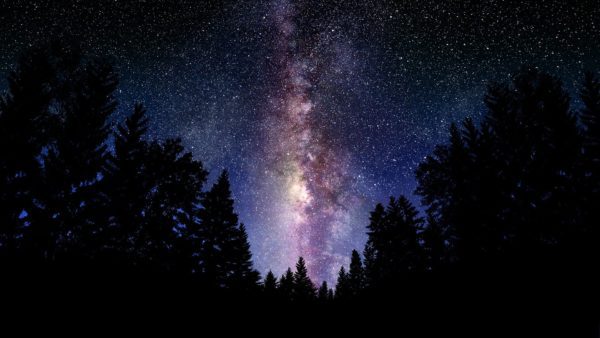 Cosmic Dancer: Parole d’autore