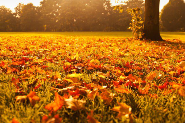 Segnalazioni d’autunno #1 – Astro Edizioni