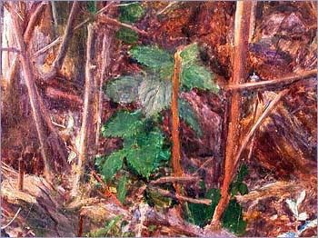 Ophelia di John Everett Millais