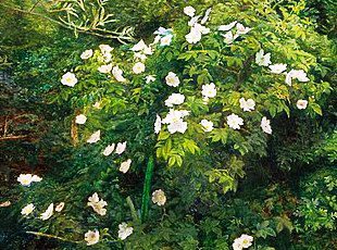 Ofelia di Millais