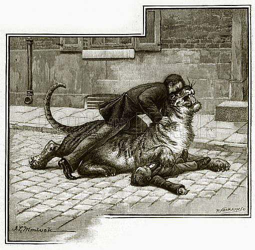 i vittoriani e gli animali esotici