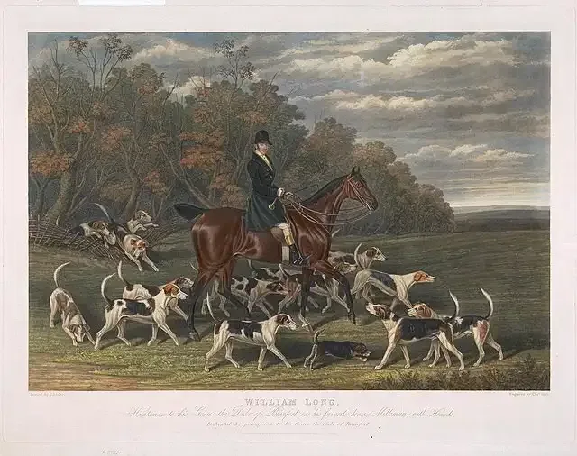caccia alla volpe in epoca vittoriana
