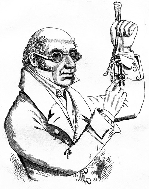 dott. knox