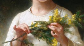 La mimosa nell’Inghilterra dell’Ottocento